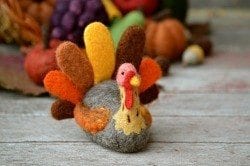 Turkey Needle Felting Kit