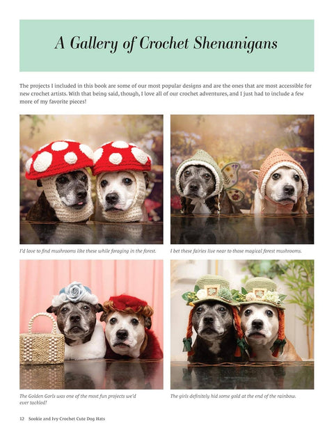 Sookie and Ivy Crochet Cute Dog Hats - Stitch For Your Dog!