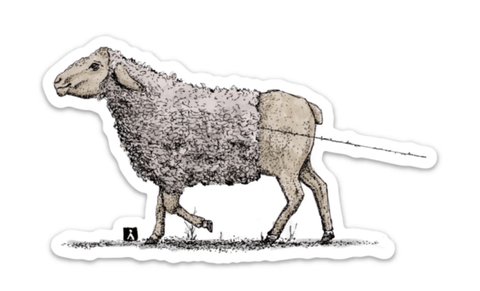 Sheep Unravelling Her Wool While Walking Vinyl Sticker