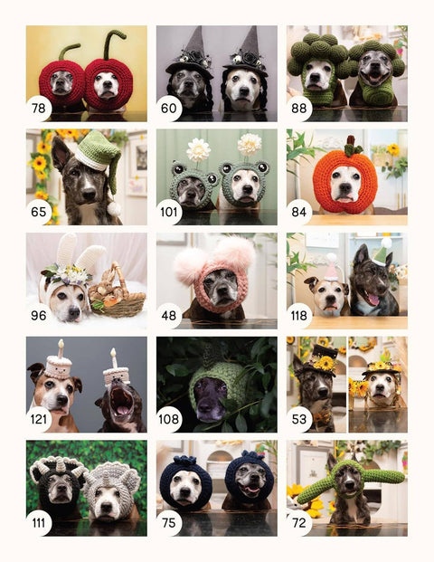 Sookie and Ivy Crochet Cute Dog Hats - Stitch For Your Dog!