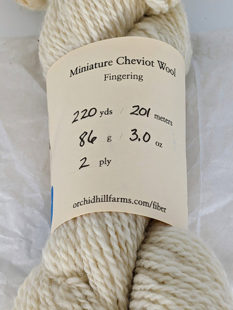 Yarn Batch 2023-012 is a Fingering weight blend of Miniature Cheviot wool.