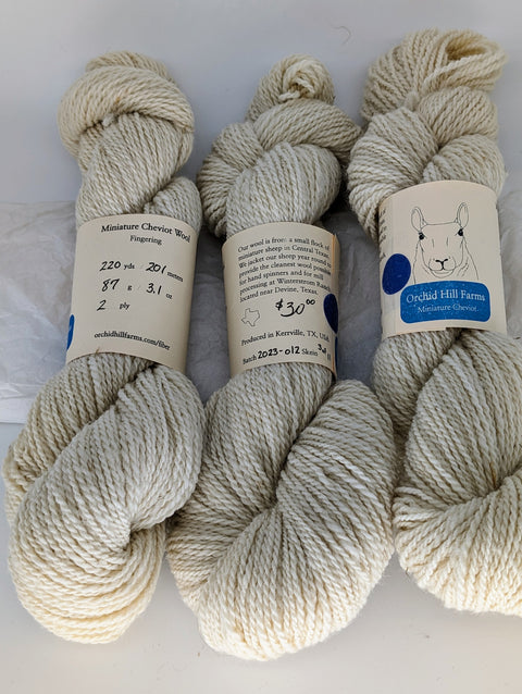 Yarn Batch 2023-012 is a Fingering weight blend of Miniature Cheviot wool.