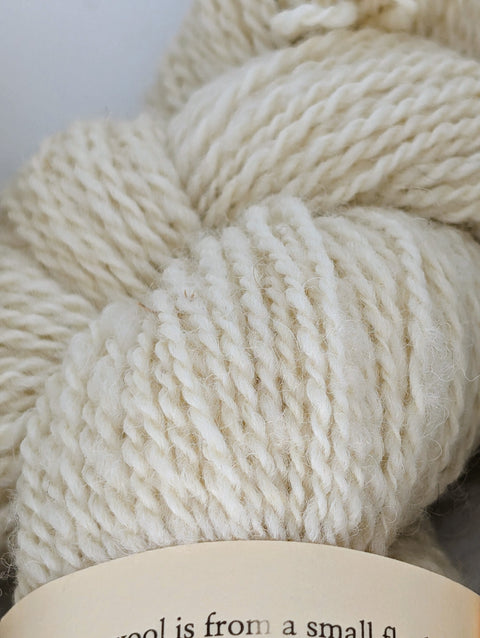 Yarn Batch 2023-012 is a Fingering weight blend of Miniature Cheviot wool.