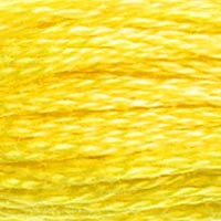 DMC Six-Strand Embroidery Floss