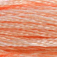 DMC Six-Strand Embroidery Floss