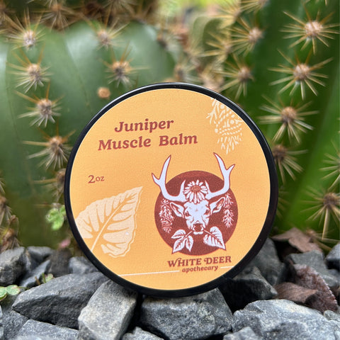 Juniper Muscle Balm